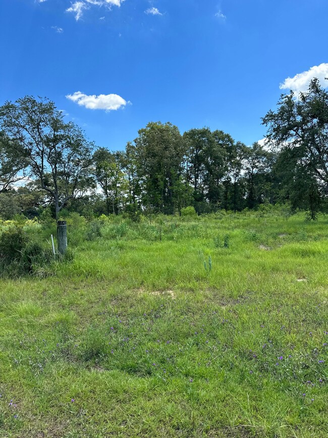 0 Hampton Ridge Ct unit 18085673, Mobile, AL 36608 - photo 2