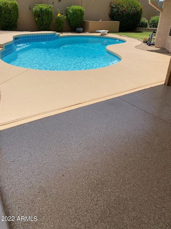 Pool and Patio