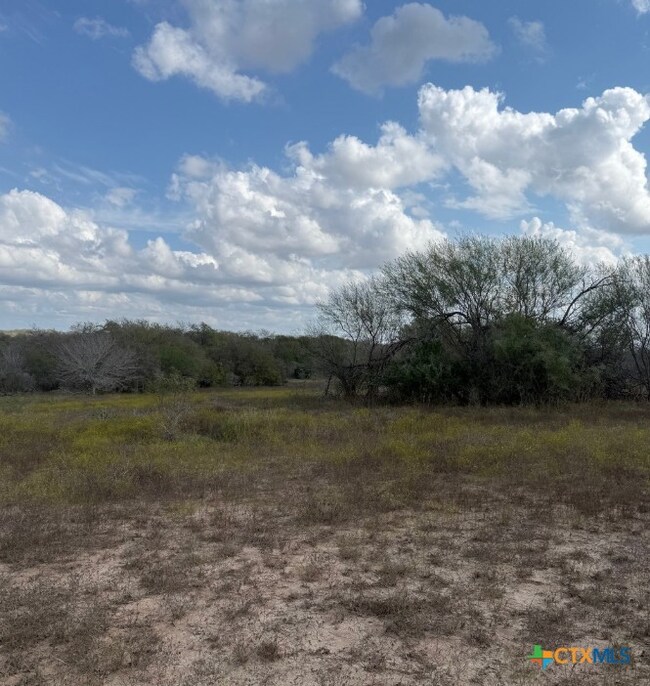 00 Simpson Ranch Rd, Runge, TX 78151 - photo 7