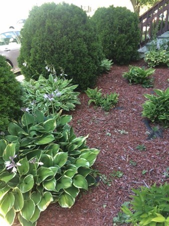 9 Durso Ave unit 2, Malden, MA 02148 - photo 4