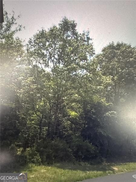 664 N Holcomb Dr, Martin, GA 30557 - photo 4