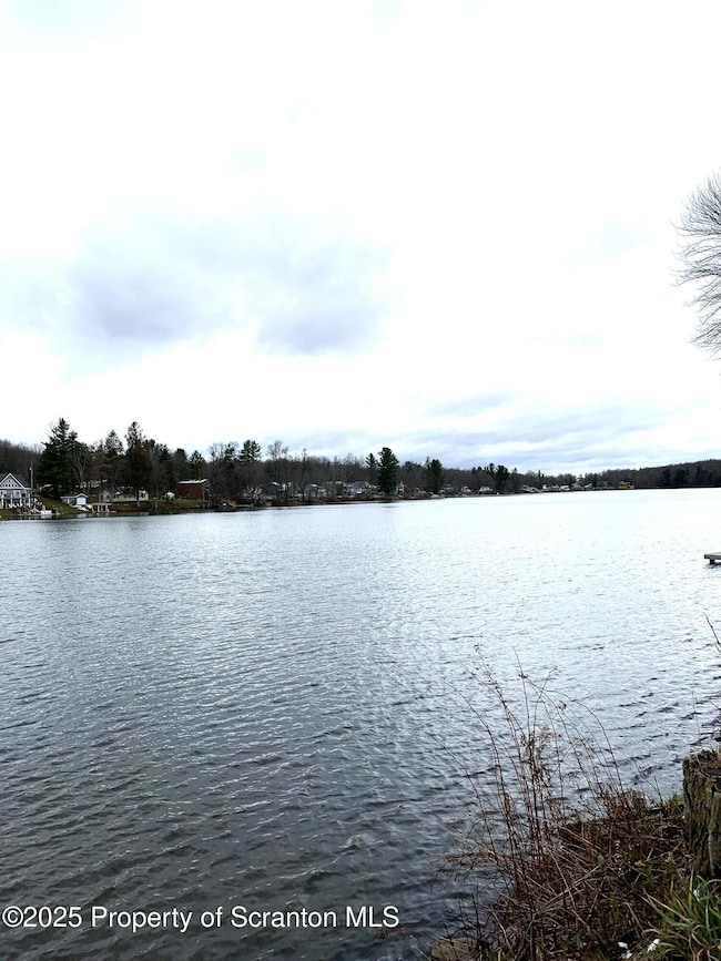 335 S Shore Dr, Thompson, PA 18465 - photo 6