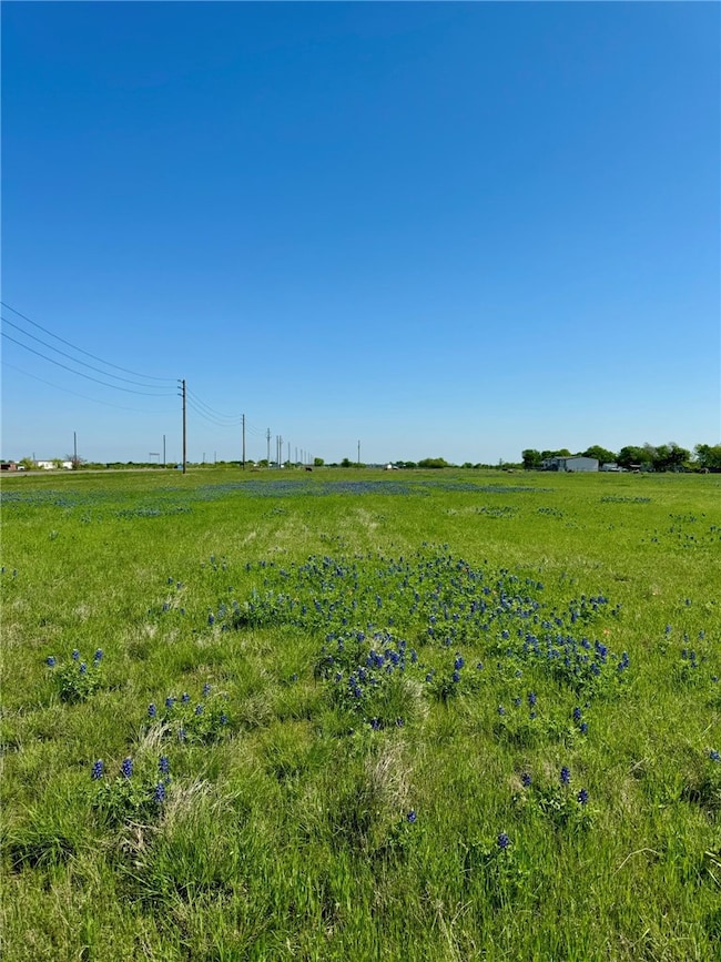 5.01 Acres Farm To Market 308, Penelope, TX 76676 - photo 3