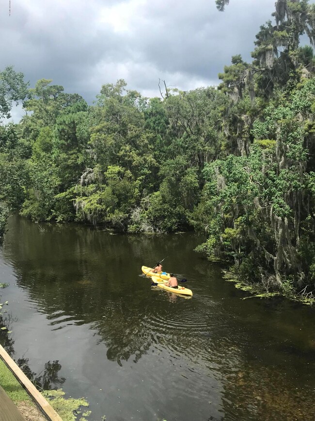 Kayak the creek