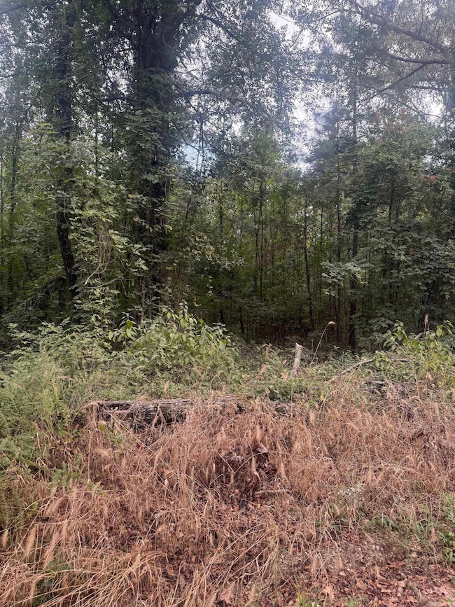 TBD Williams Cutoff Rd, Bismarck, AR 71929 - photo 2