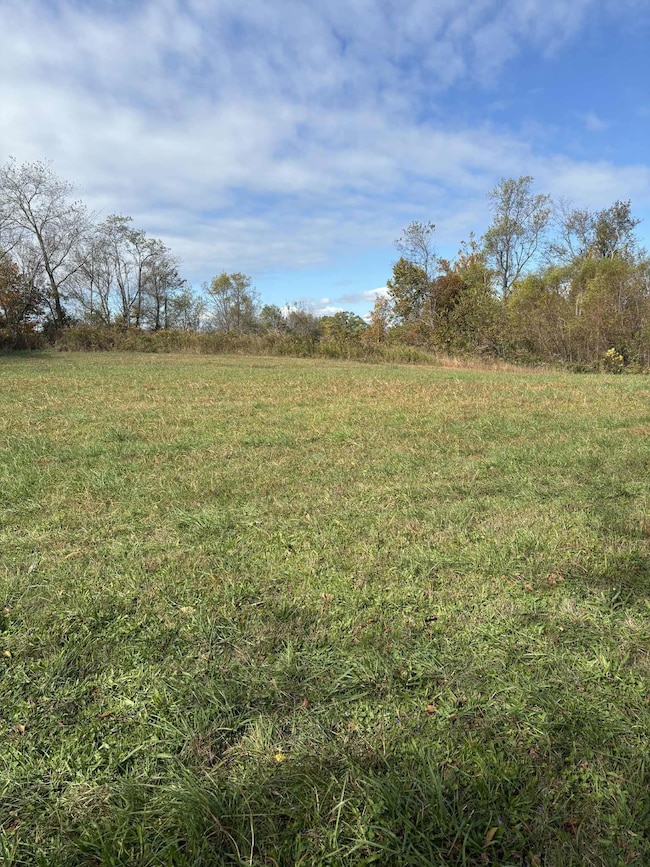 Pine Grove Ch Spur Rd, Vanceburg, KY 41179 - photo 2