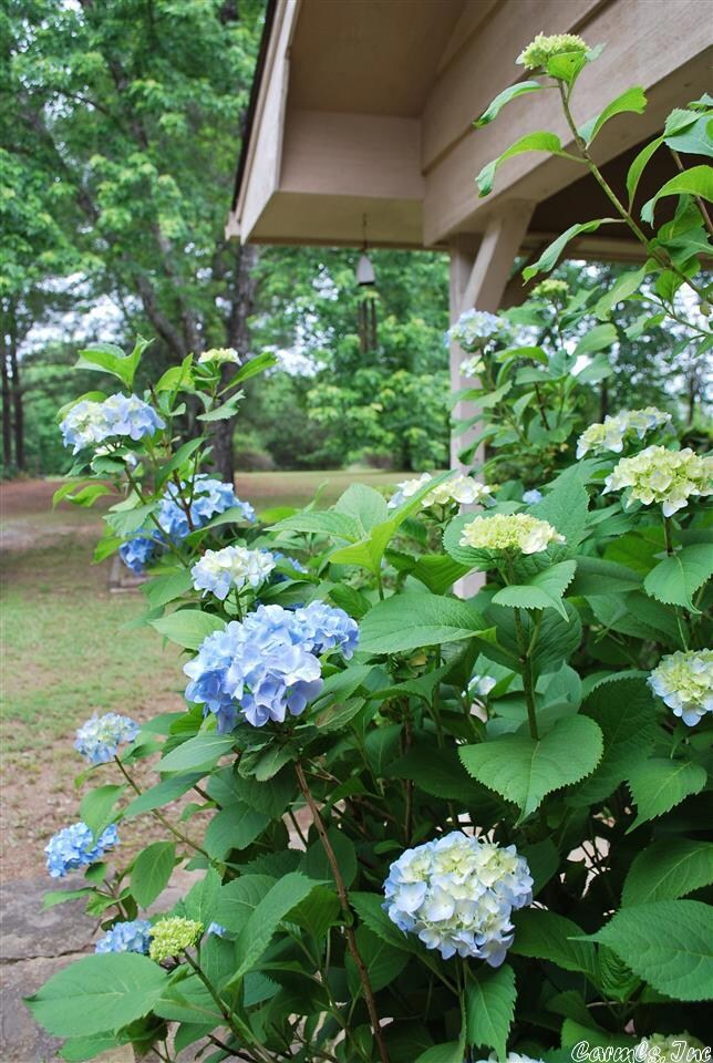 0 Bypass Rd unit 17015996, Heber Springs, AR 72543 - photo 5