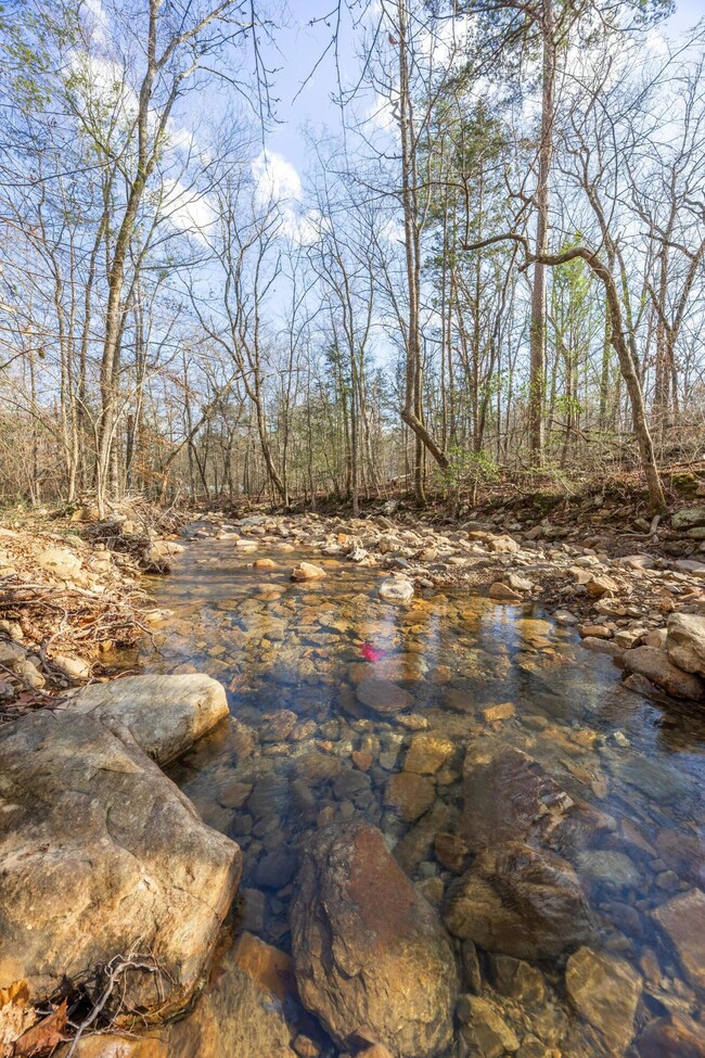 0 Lee Station Mountain Rd, Pikeville, TN 37367 - photo 7