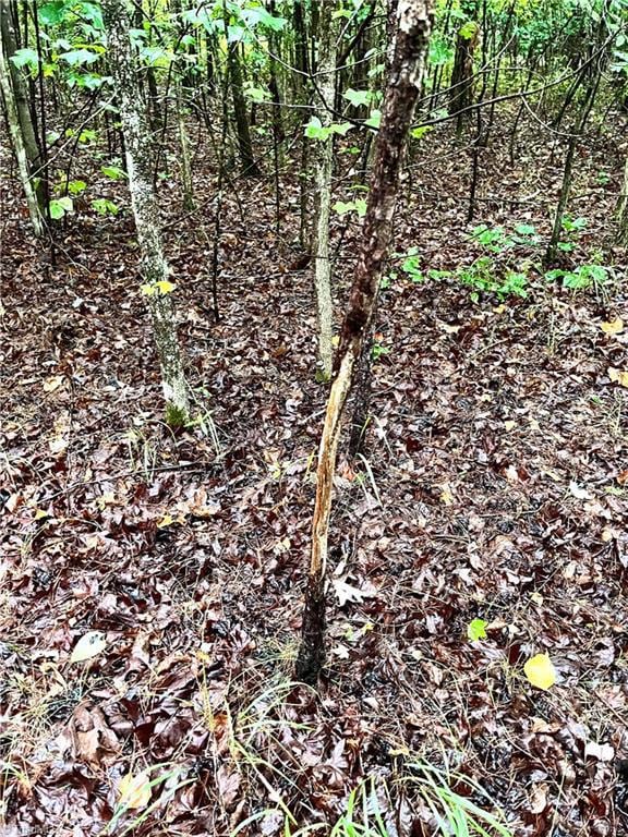 201 Bennett Farm Rd, Asheboro, NC 27205 - photo 4