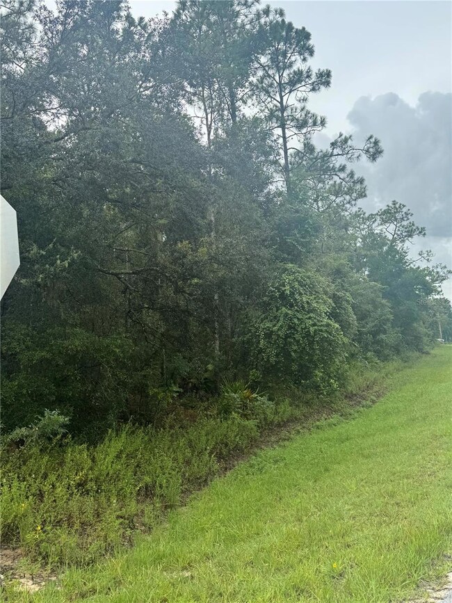 0 Southeast Ave unit MFRO6338893, Webster, FL 33597 - photo 5