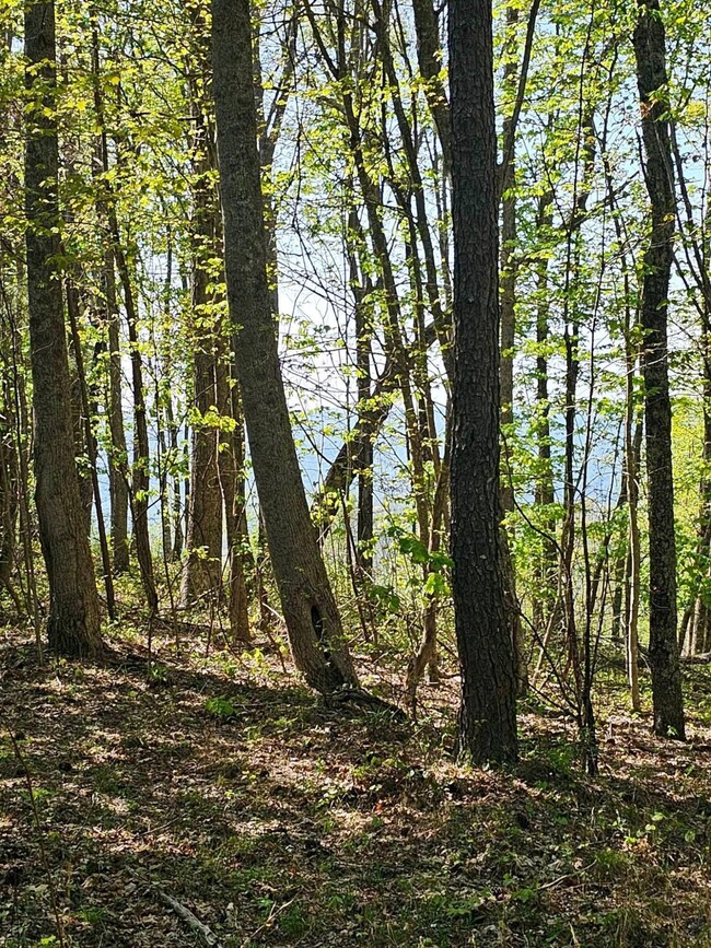 0 Waterwheel Way unit RTC2598432, Jasper, TN 37347 - photo 3