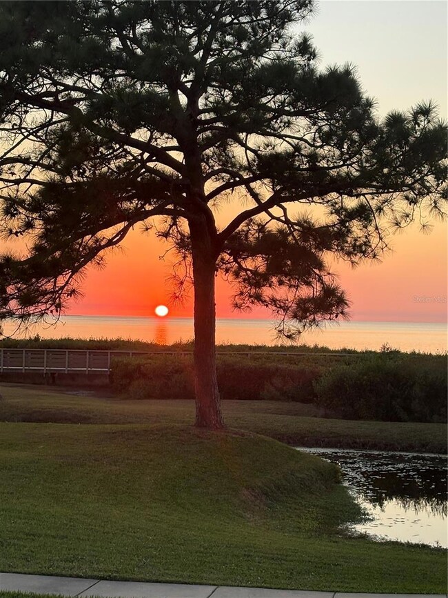 621 Windrush Bay Dr unit 621, Tarpon Springs, FL 34689 - photo 3