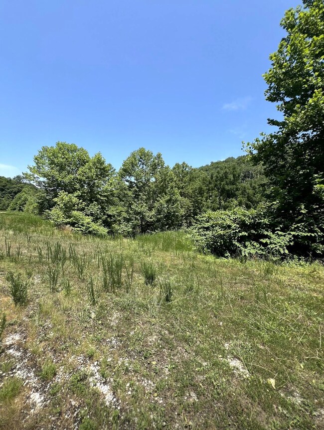 4 Mile Creek 30 25 Acres, Branchland, WV 25506 - photo 4