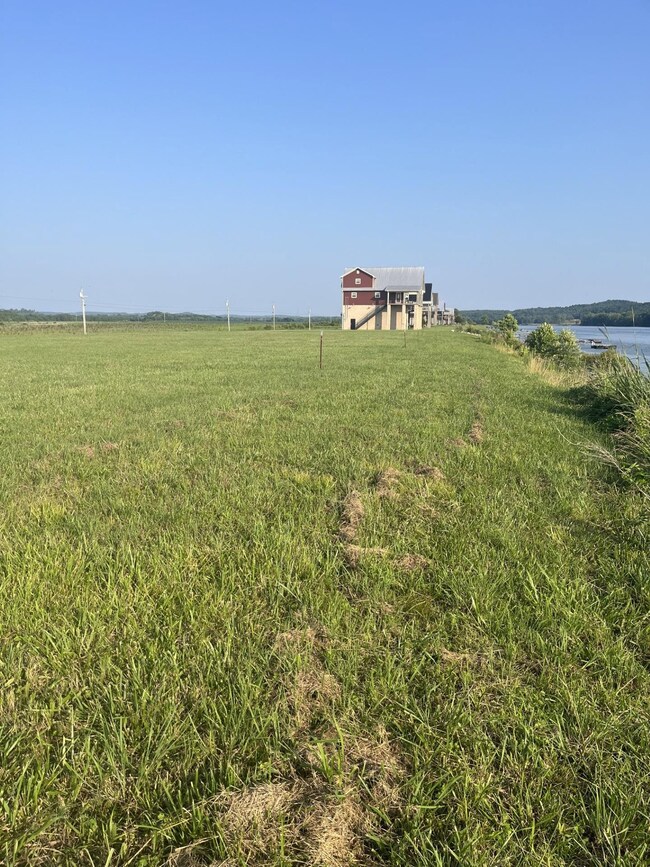 1505 Hardin Bottom River Rd, Clifton, TN 38425 - photo 6