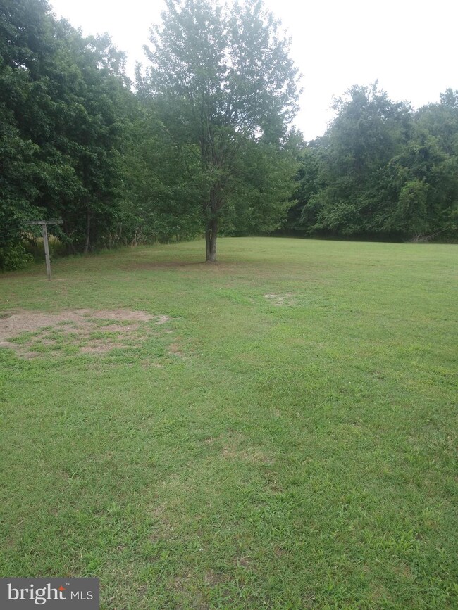 3637 Texas Rd, Bivalve, MD 21814 - photo 5