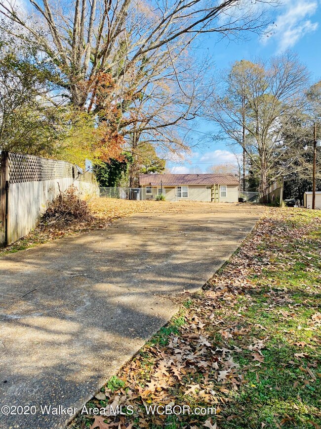 Back Driveway