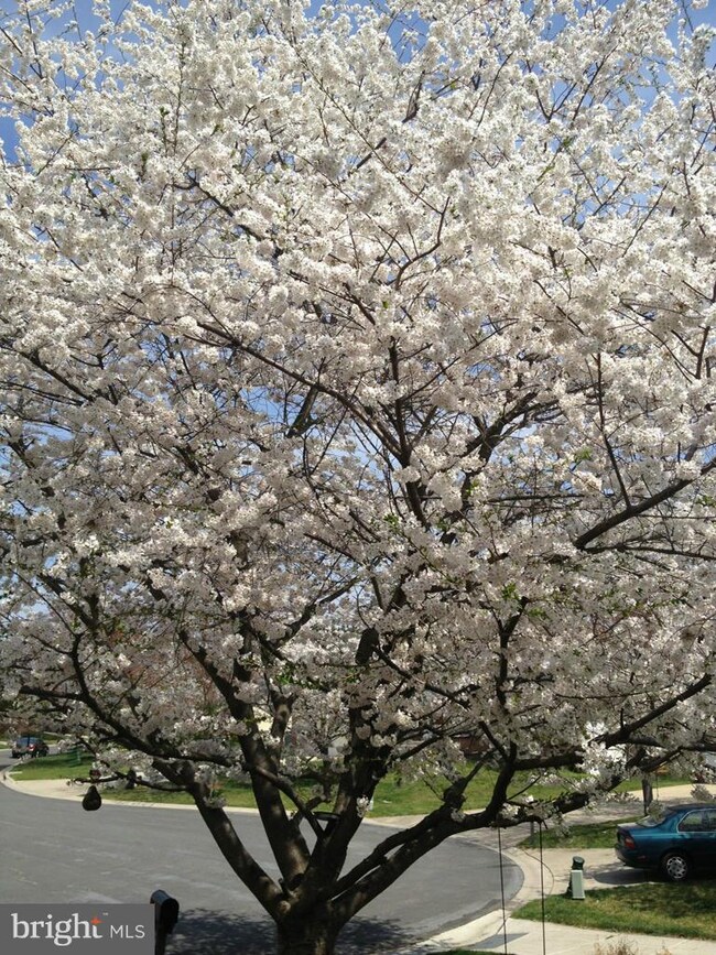 19700 Maycrest Way, Germantown, MD 20876 - photo 4