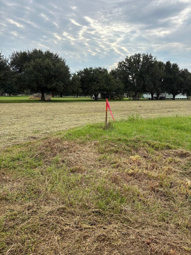 3500 Blk N Riceland Rd unit Tracts A/B, Rayne, LA 70578 - photo 3