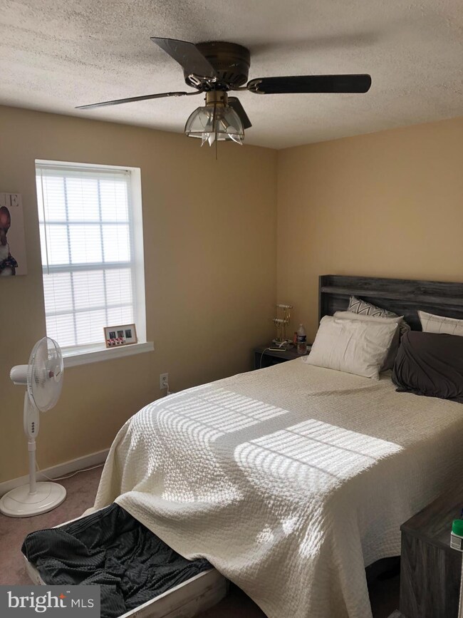 6617 E Wakefield Dr unit A2, Alexandria, VA 22307 - photo 5