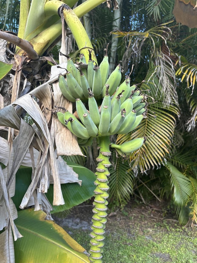 1256 SE Ladner St, Port St. Lucie, FL 34983 - photo 2