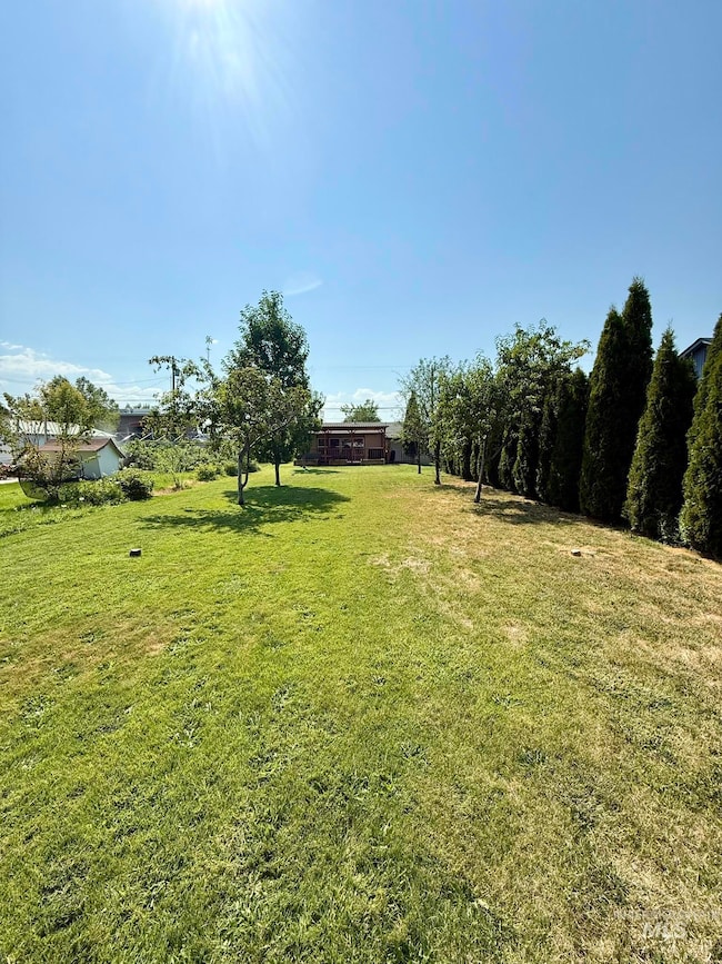 View of green lawn
