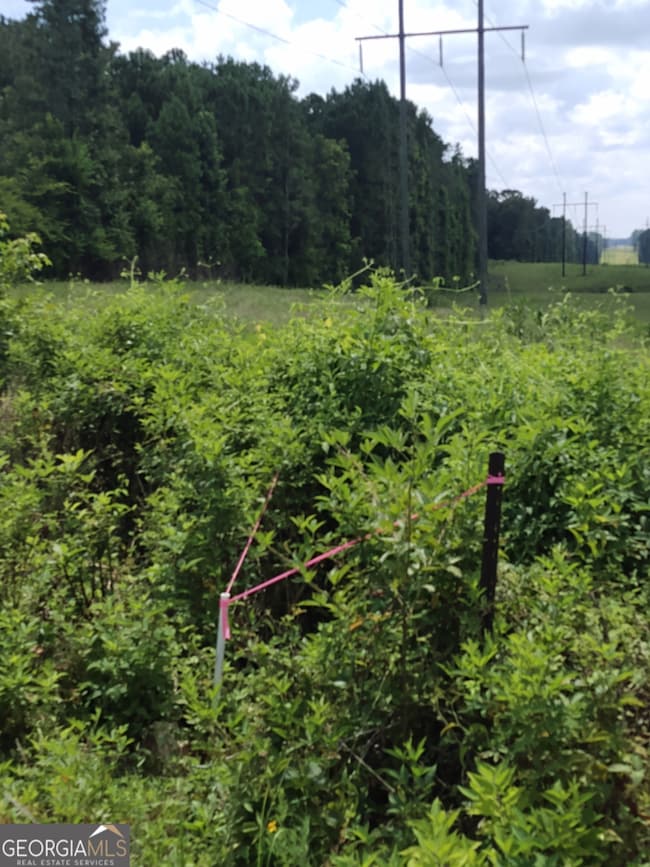 0 Hawkins Academy Rd unit 10561655, Social Circle, GA 30025 - photo 7