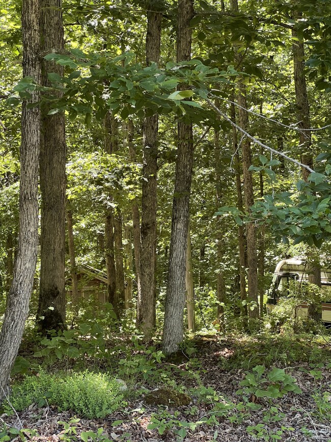 63 Charlsie Ln, Stewart, TN 37175 - photo 7