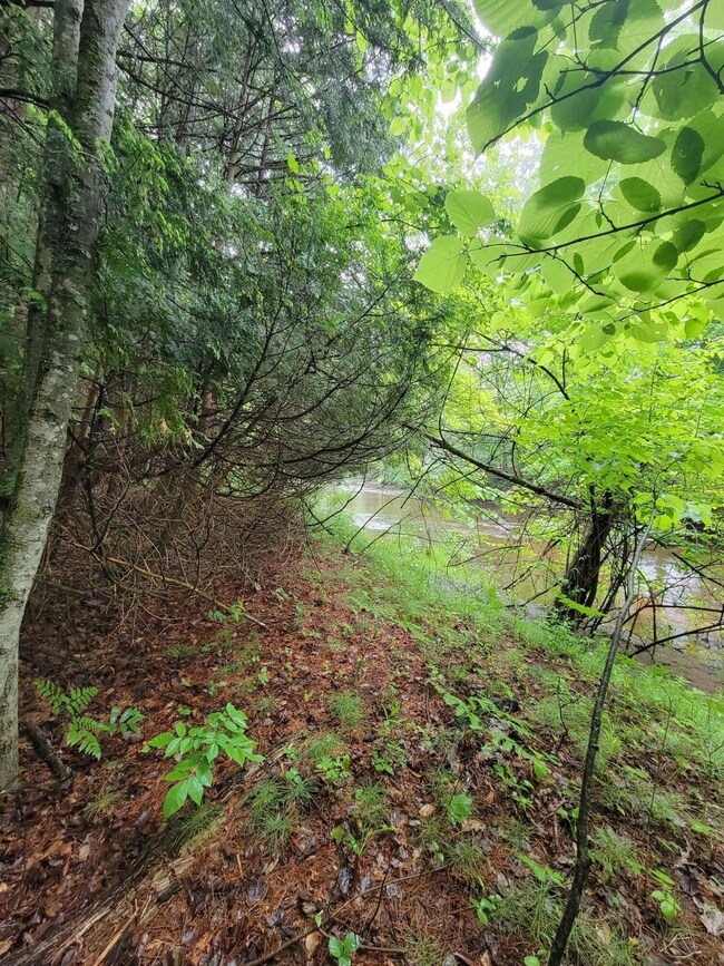 Wooded lot on Bear Creek