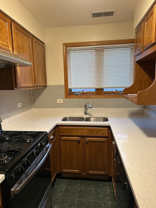 unlisted-address, Chicago, IL 60616 - photo 4