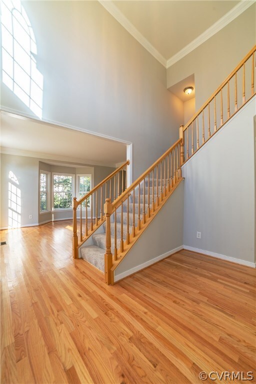 5513 Bosworth Place, Glen Allen, VA 23059 - photo 4