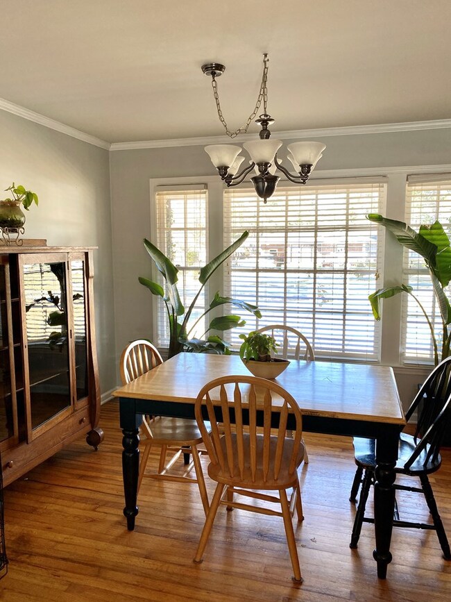 Large north facing window