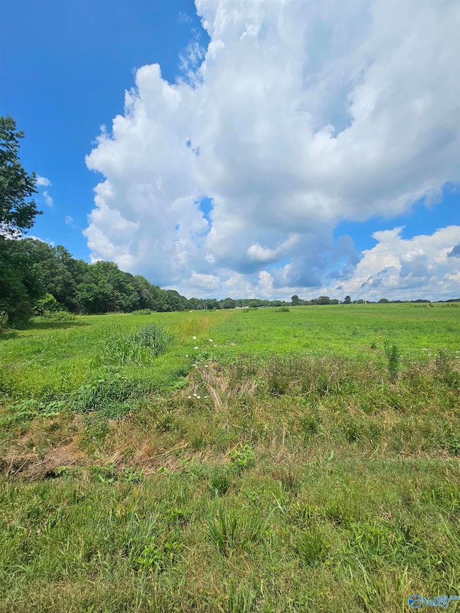 Lot 3 Scott Rd, Hazel Green, AL 35750 - photo 2