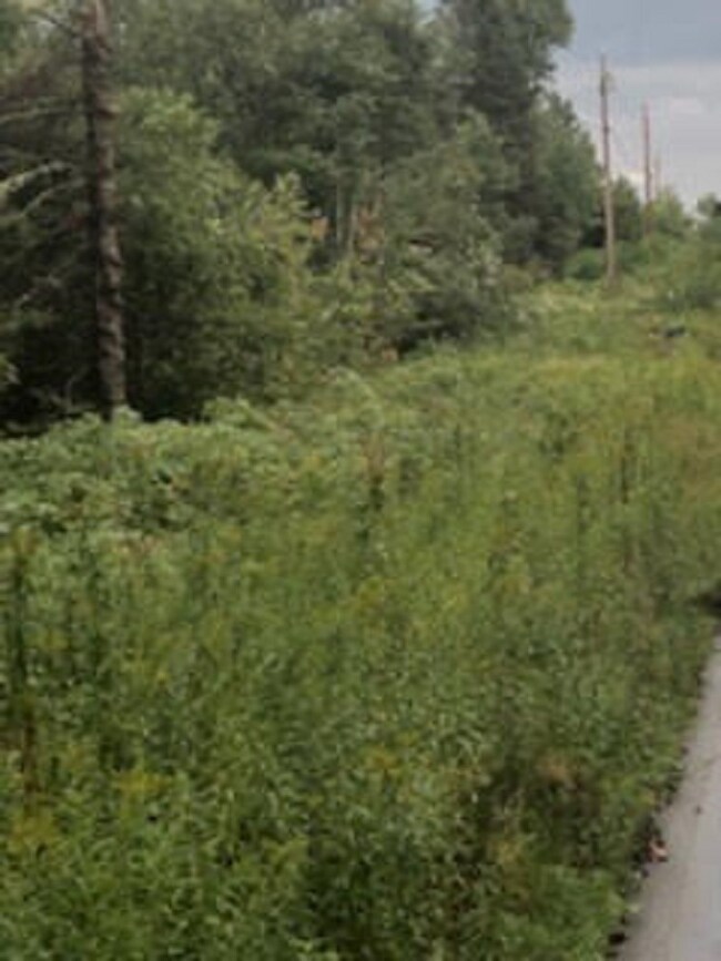 M417 L104.1 Marshall Hill Rd, Columbia, NH 03576 - photo 3