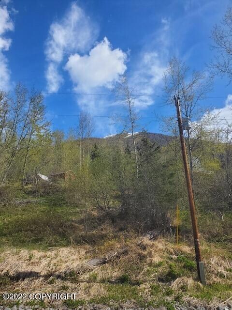 looking across the street