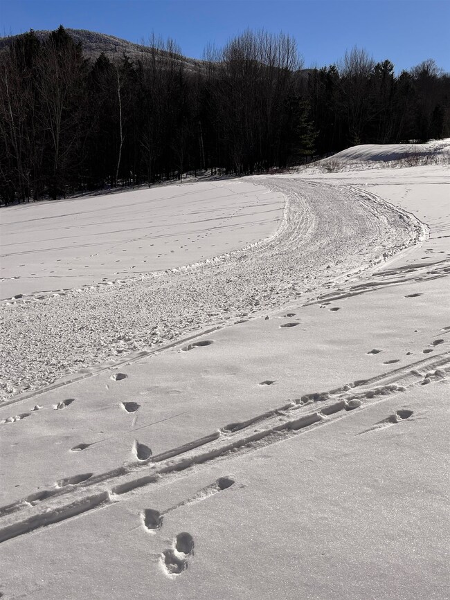 813 Plunkton Rd, Warren, VT 05674 - photo 6