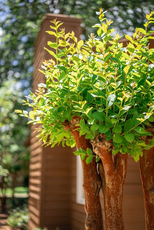 2807 N Doublegate Dr, Albany, GA 31721 - photo 4