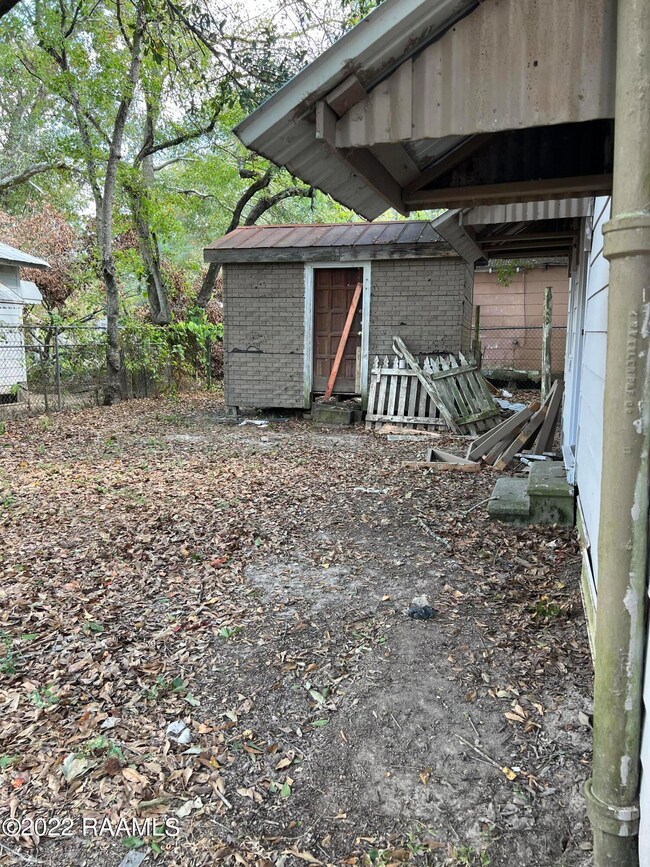 Back Yard