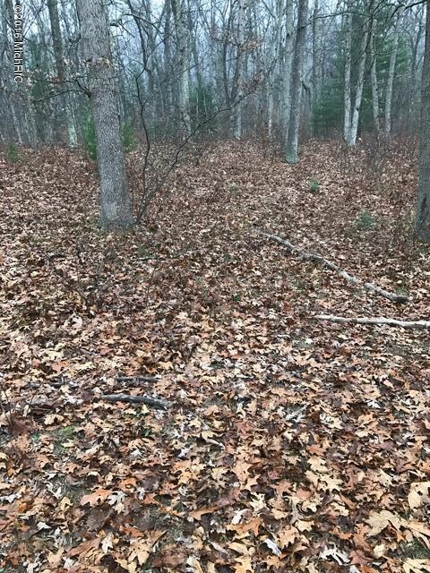 0 Fiftieth Ave unit 16057148, Bitely, MI 49309 - photo 4