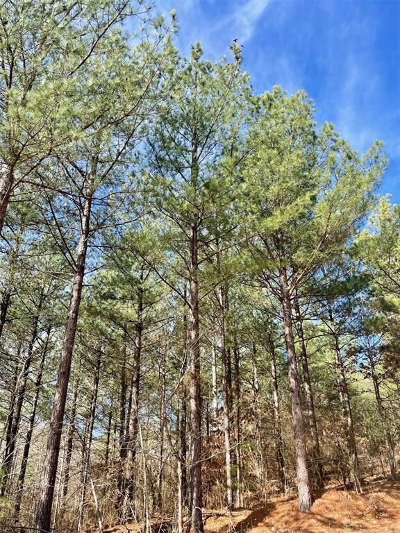 764 Timber Creek Trails South XI, Broken Bow, OK 74728 - photo 4