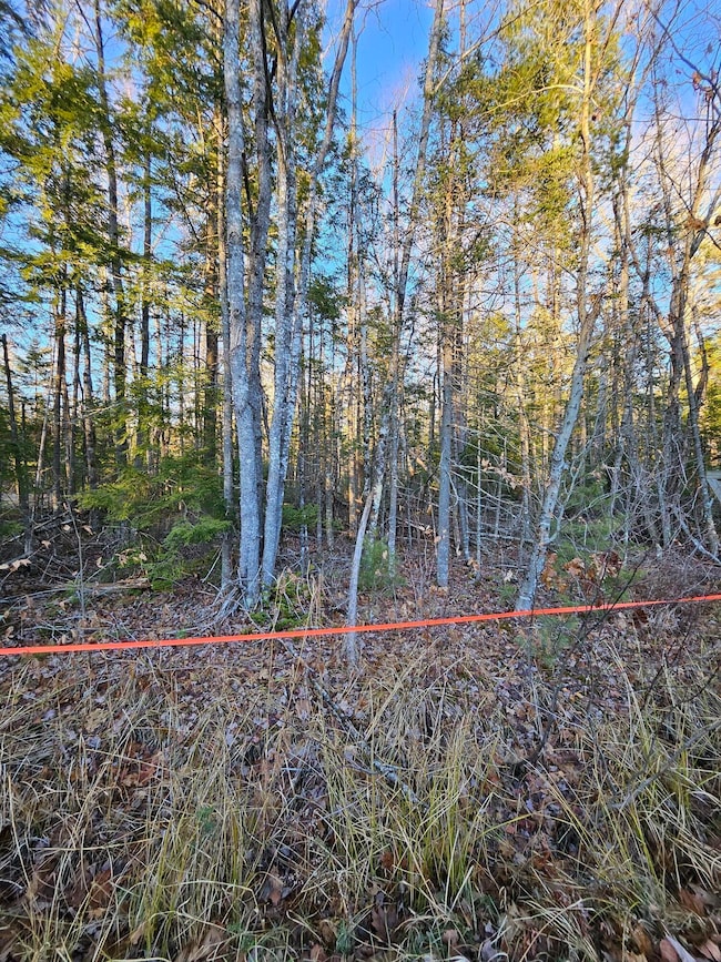 199 Poplar St, Old Town, ME 04468 - photo 4