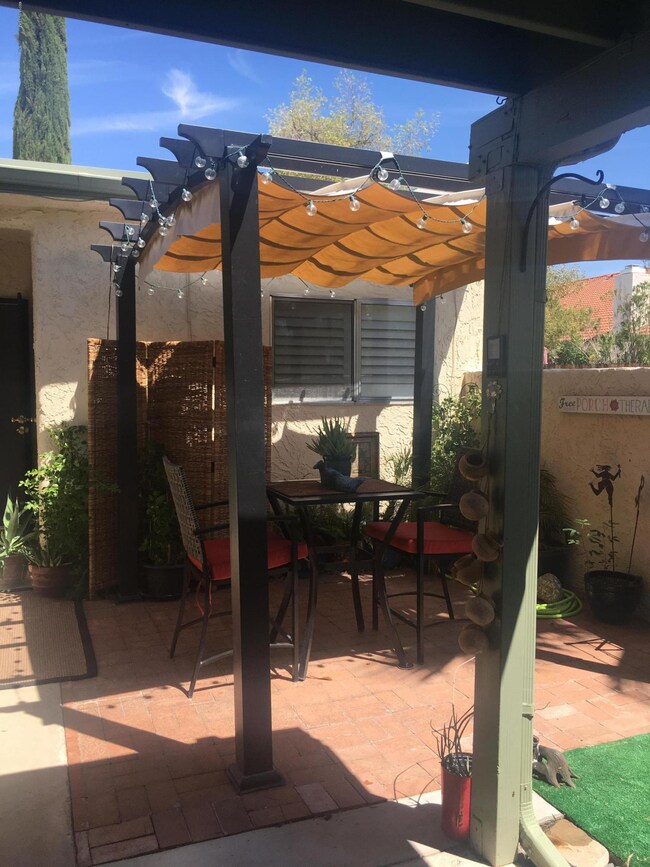 Back yard
