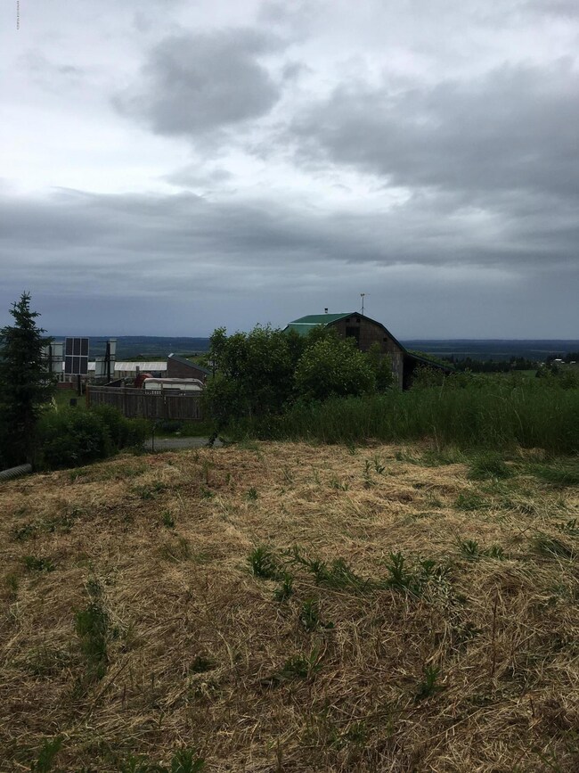 34371 Bluegrass St, Anchor Point, AK 99556 - photo 7