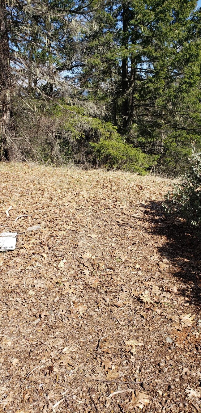 where old R. E. sign is laying down.