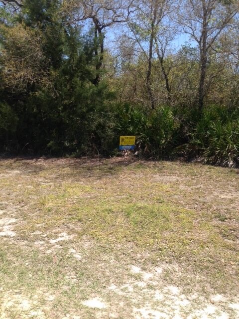 0 Yates Creek Rd unit 268566, Perry, FL 32348 - photo 4