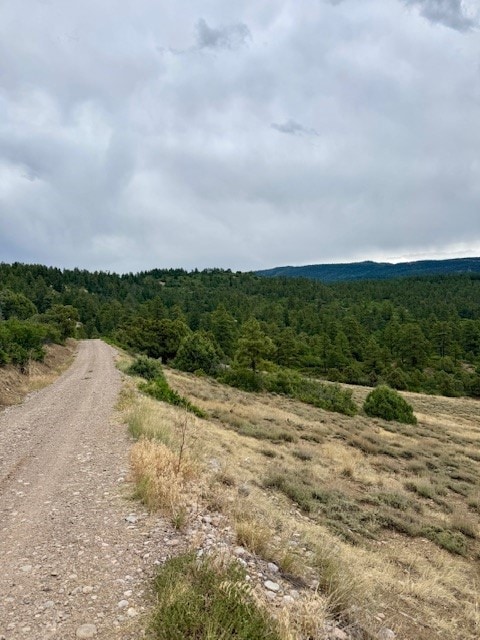 Unit 5 Tract 1 Private Drive 1783, Chama, NM 87520 - photo 3