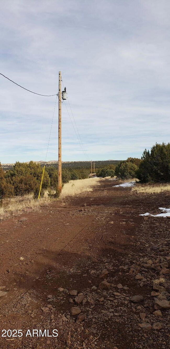 10755029D N 0 -- unit 29-4, Concho, AZ 85924 - photo 3
