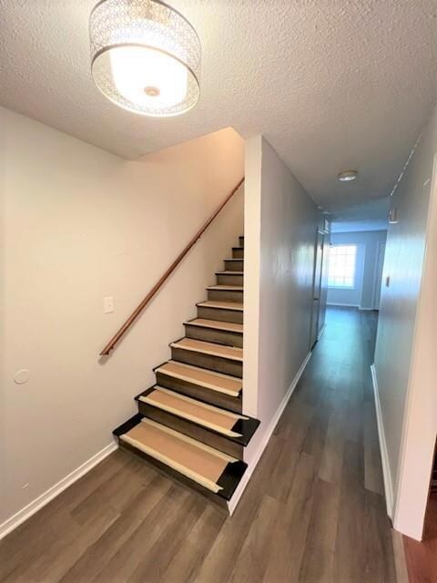 Entryway. staircase and hallway