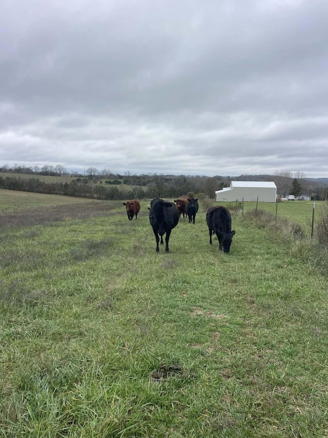 2174 County Road A-425, Ava, MO 65608 - photo 4