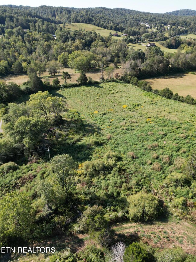 317 Singleton Hollow Rd unit lot 1, Speedwell, TN 37870 - photo 2