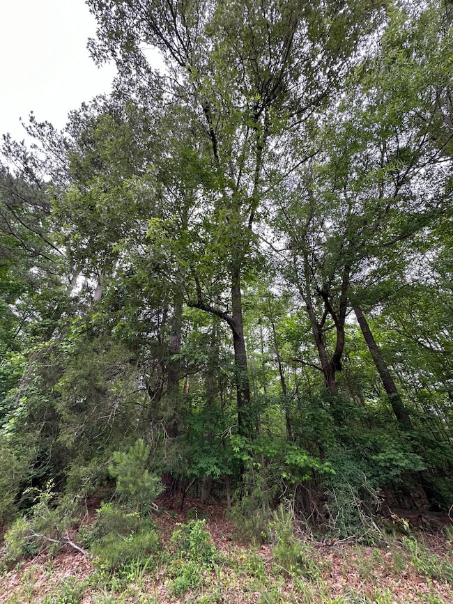 Lot 3a Elberton Hwy, Lincolnton, GA 30817 - photo 6